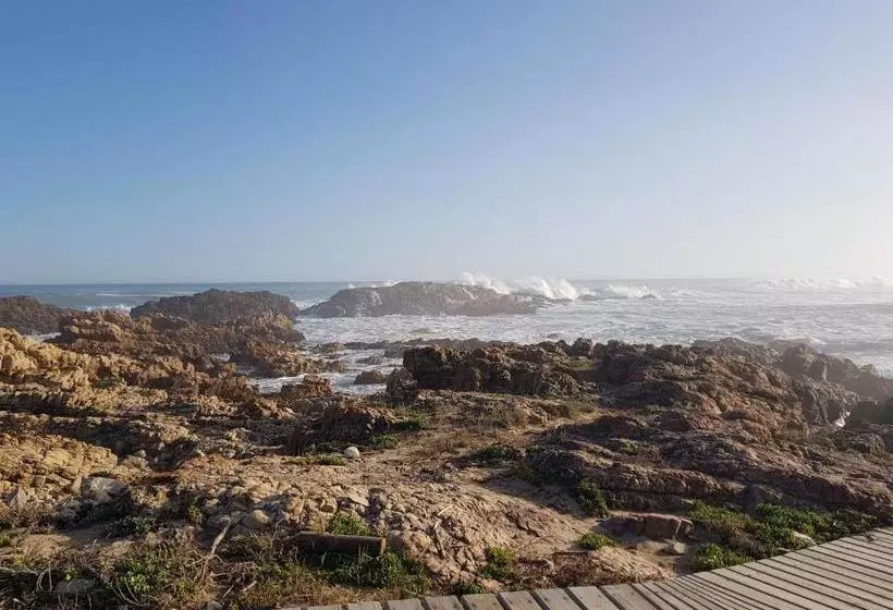 پانسیون 387 Bushbuck