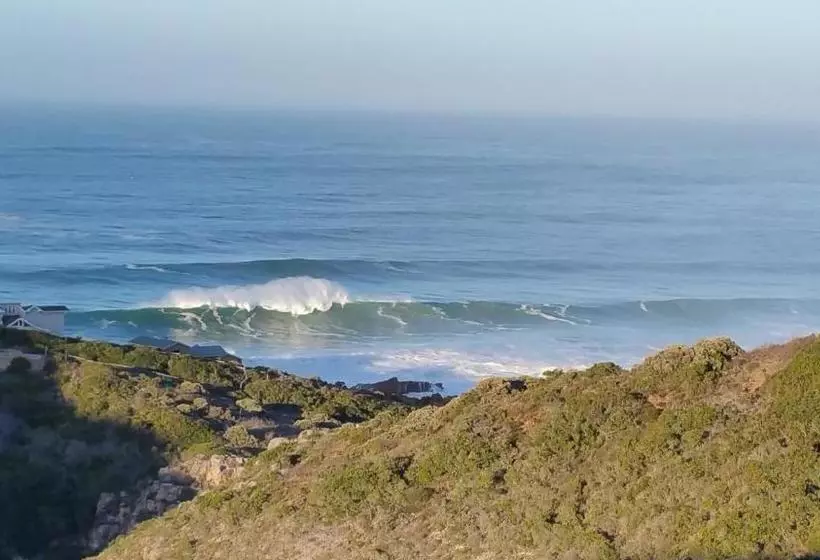 پانسیون 387 Bushbuck