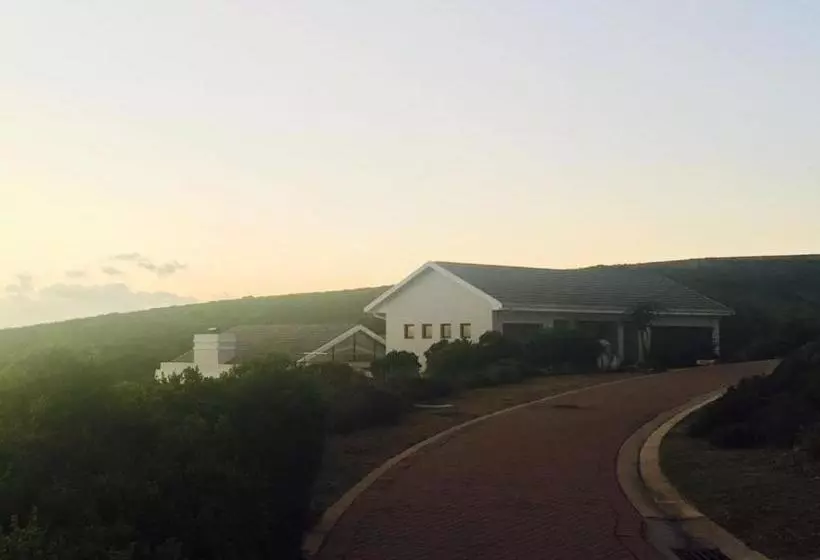 پانسیون 387 Bushbuck