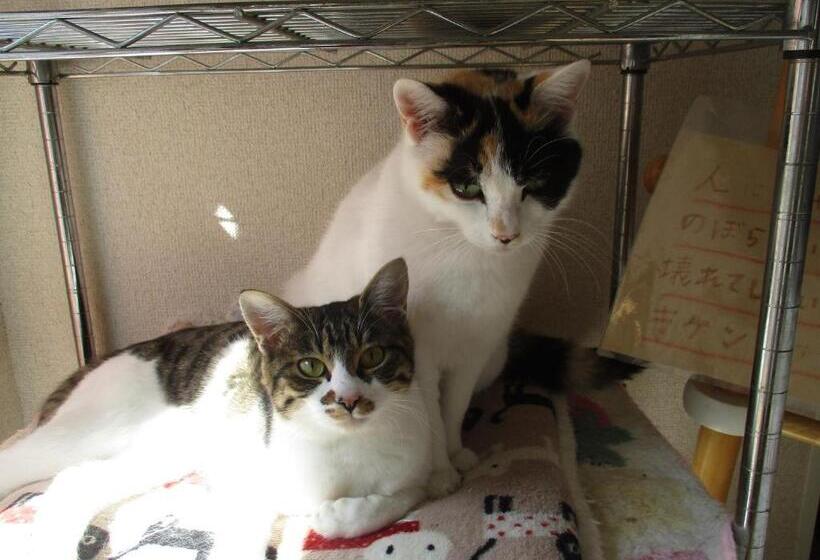 Pensione Guesthouse Shell