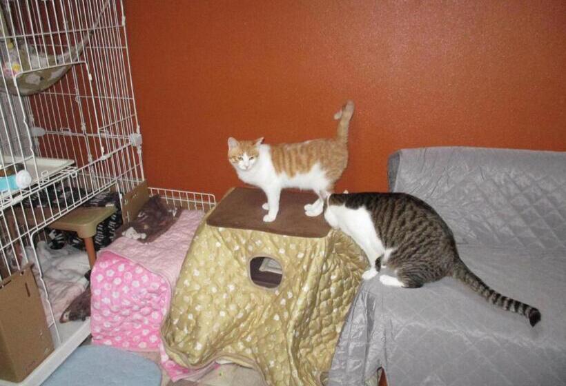 Pensione Guesthouse Shell