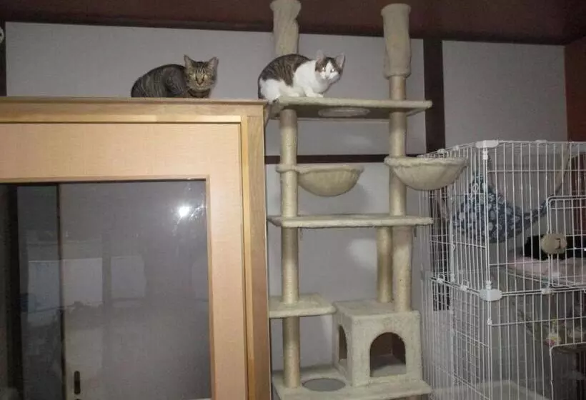 Majatalo Guesthouse Shell