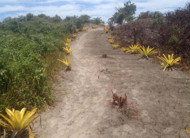 פנסיון Pousada Acuípe