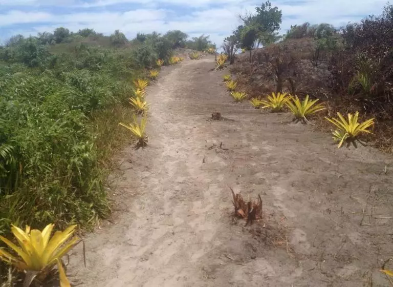 ペンション Pousada Acuípe