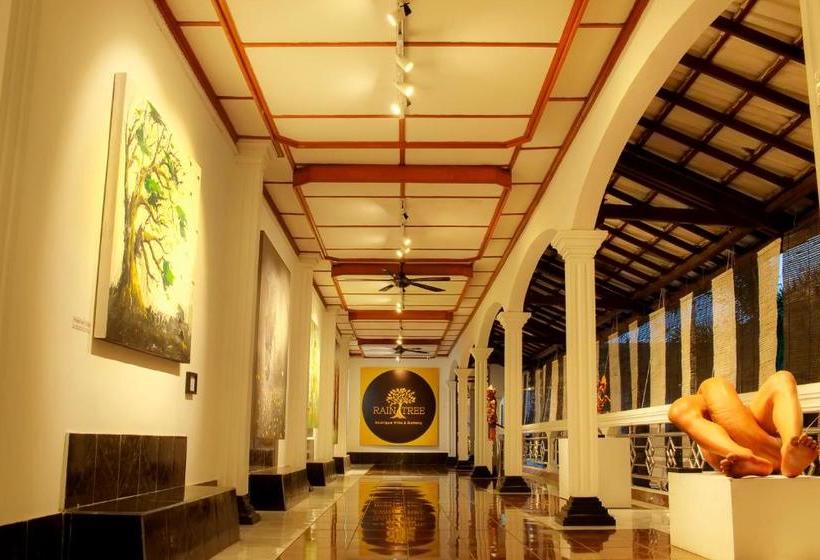 膳宿费 Raintree Boutique Villa & Gallery