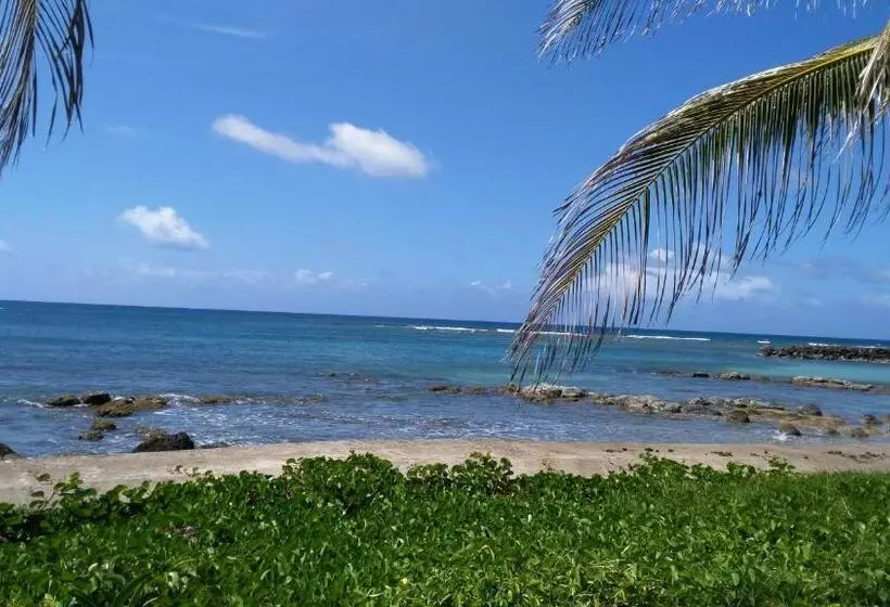 Majatalo Corn Island Hostal Alal Suite