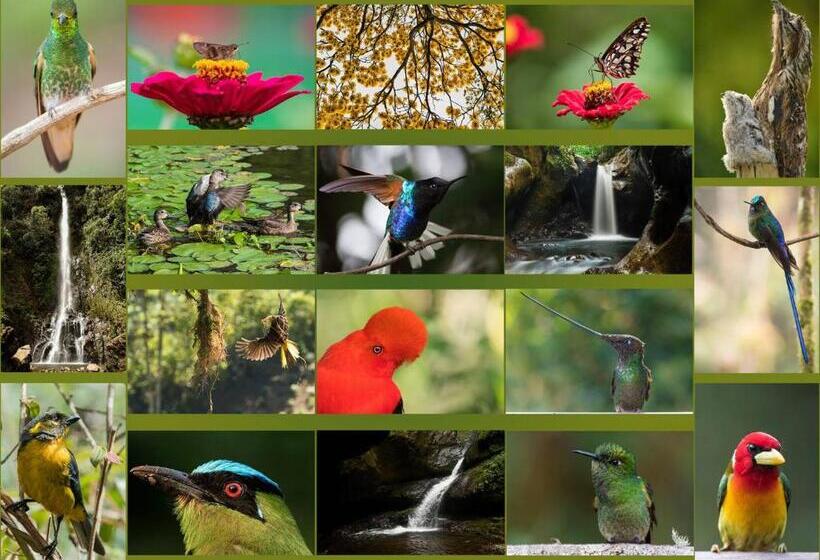 پانسیون Fami Hotel Vive Jardin