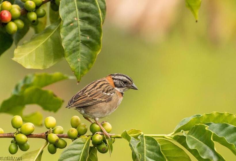 پانسیون Fami Hotel Vive Jardin