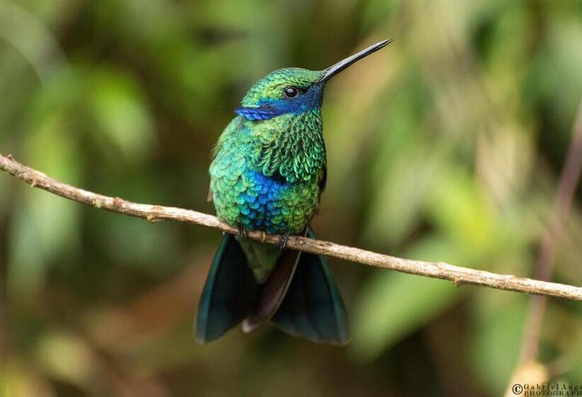 پانسیون Fami Hotel Vive Jardin