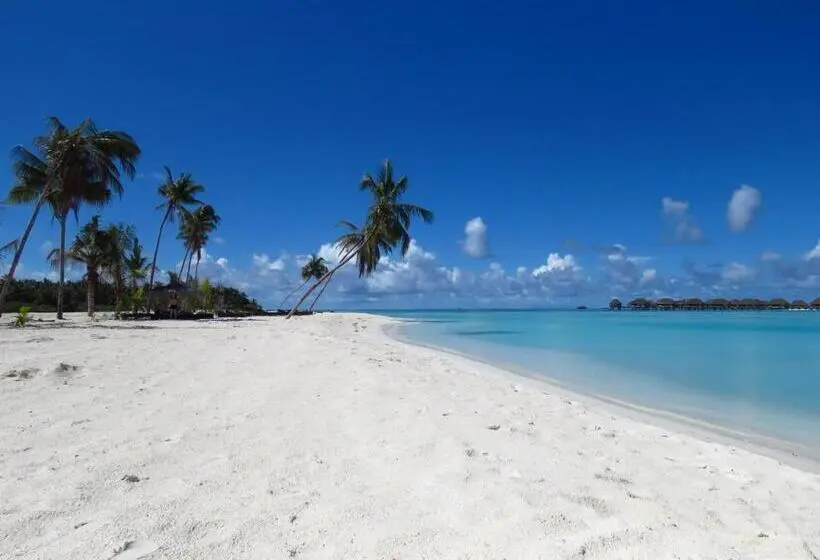 پانسیون The Sunrise Huraa