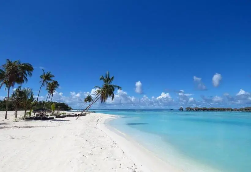 پانسیون The Sunrise Huraa