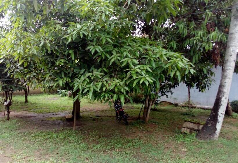 پانسیون Singhe Resort