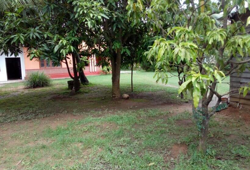 پانسیون Singhe Resort