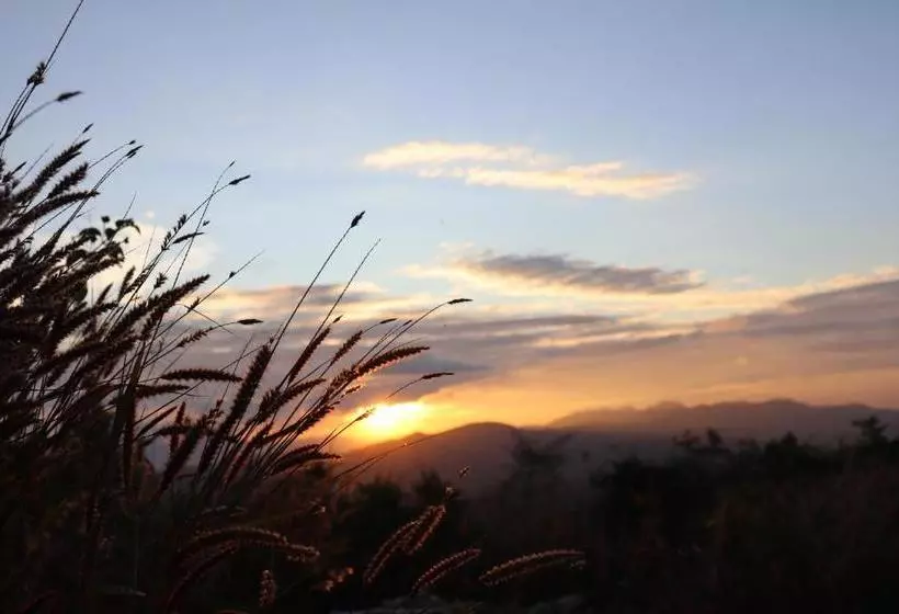 ペンション Coorg North Breeze Homestay