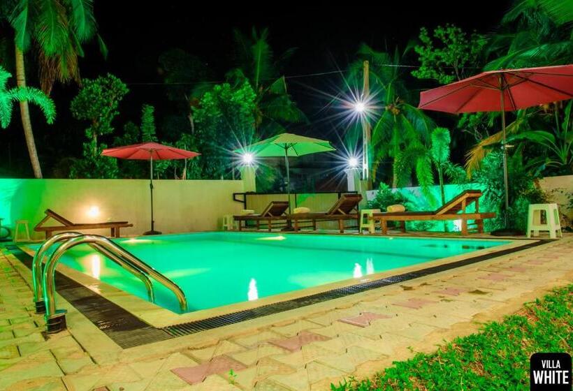 Пансион Villa White