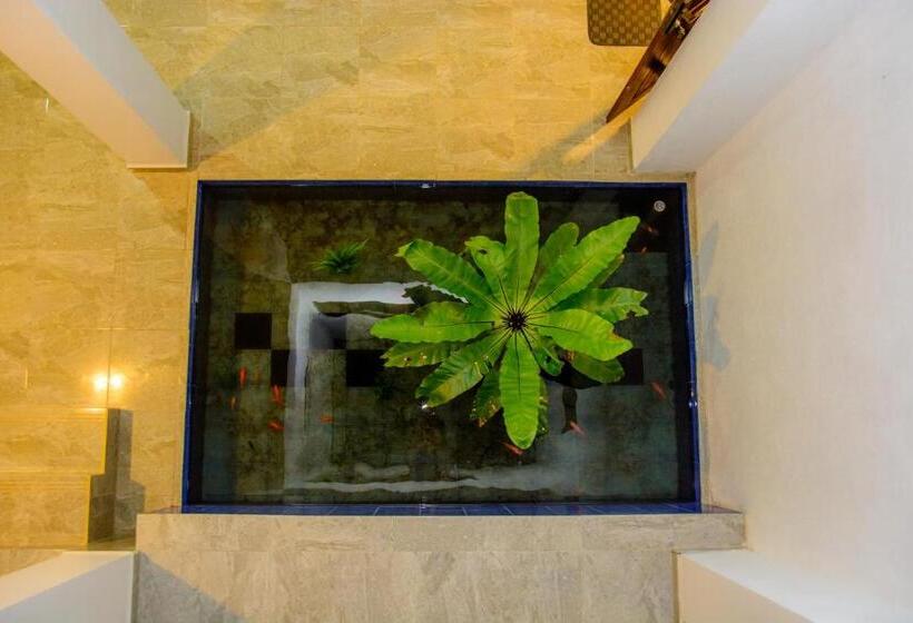 Пансион Villa White