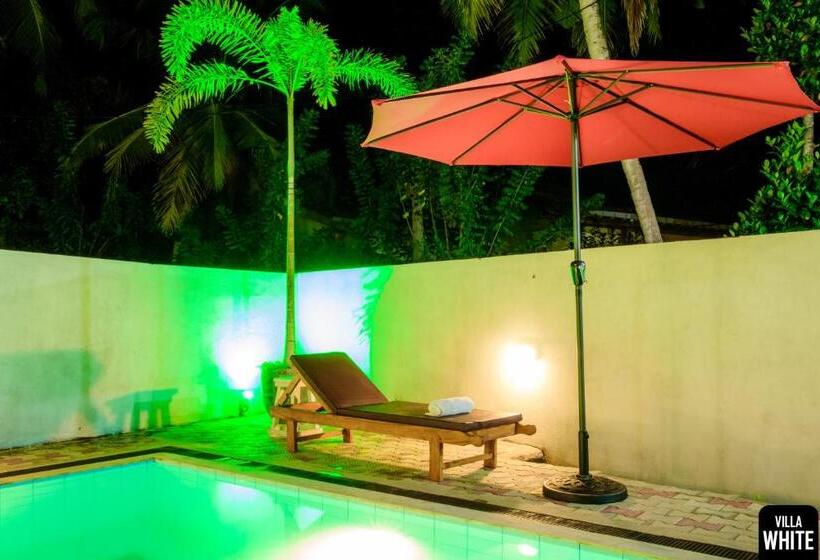 Пансион Villa White