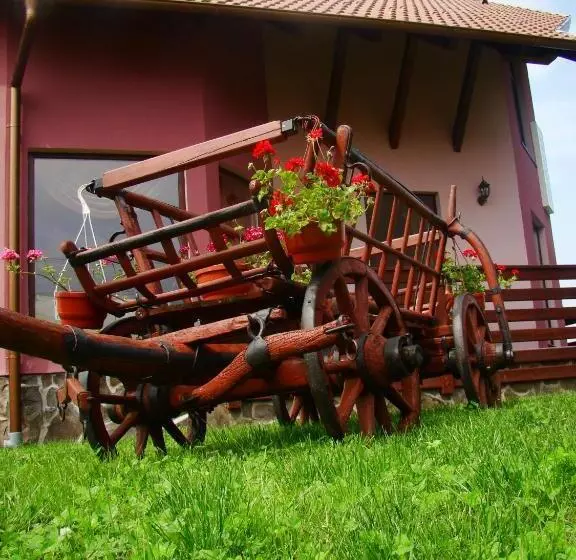 پانسیون Colt De Rai