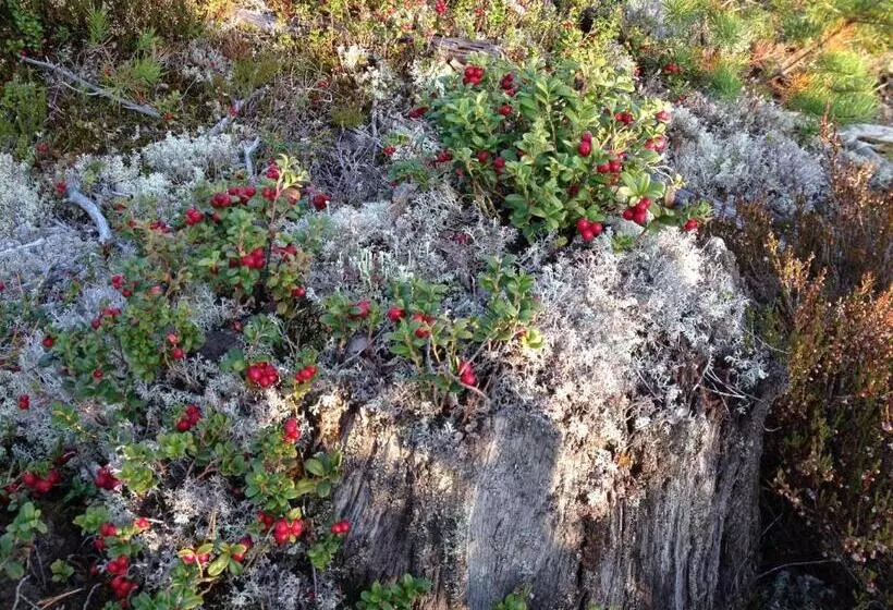 Majatalo Knappgården