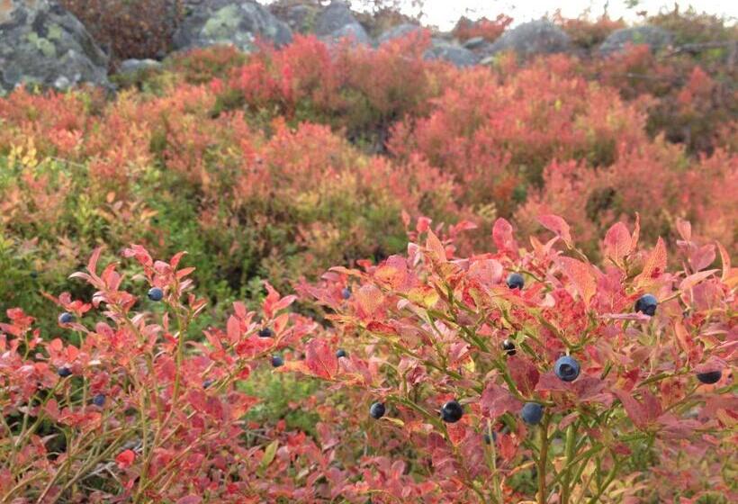 膳宿费 Knappgården