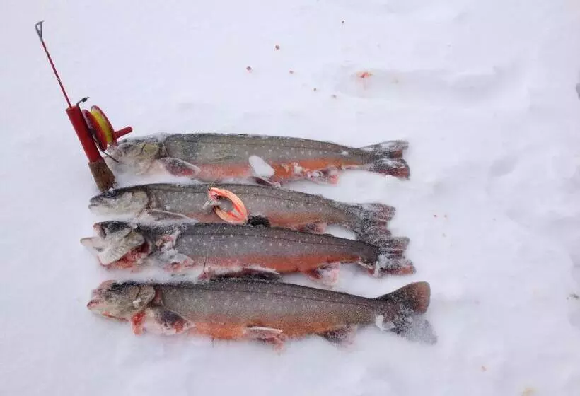 Majatalo Knappgården