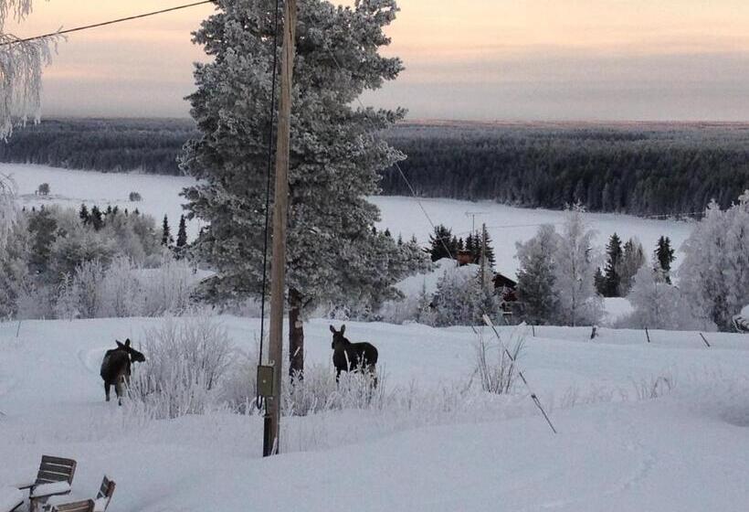 بنسيون Knappgården