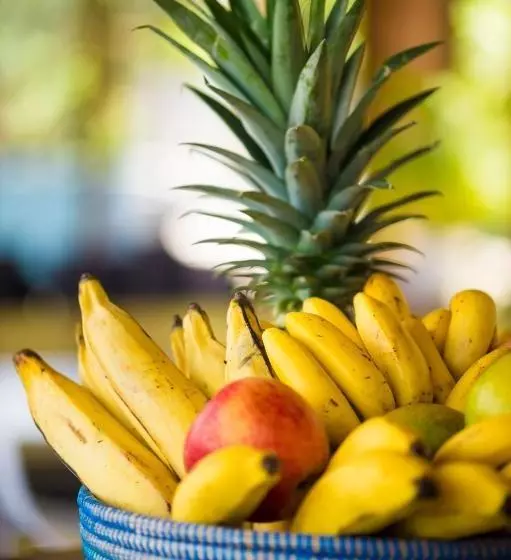 پانسیون La Résidence Nou Cinq