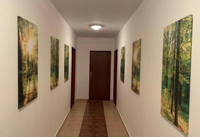 ペンション Penzion Karlov