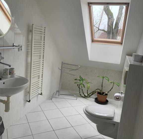 ペンション Penzion Karlov