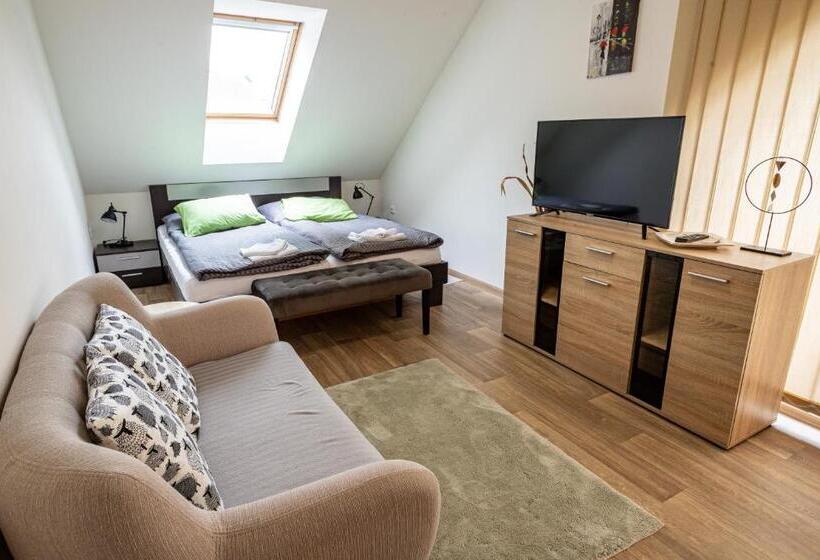 ペンション Penzion Karlov