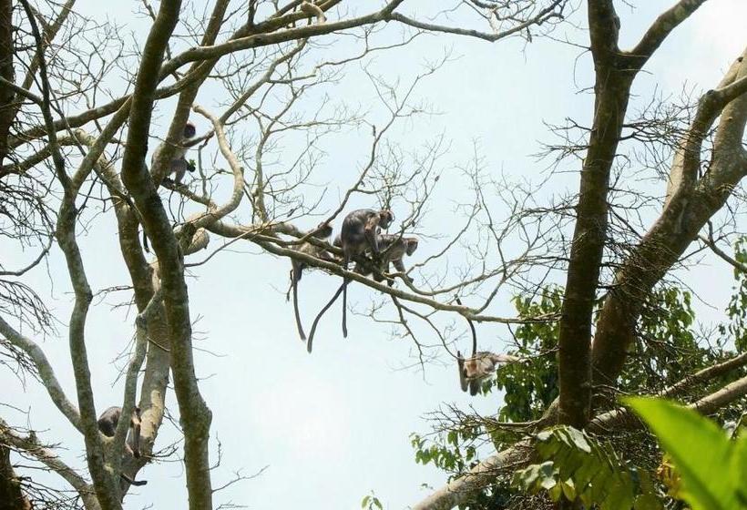 هتل Bwigamiro Country Home Fort Portal