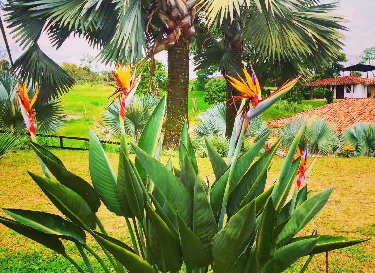 בית מלון כפרי Casa De Campo Sao Paulo