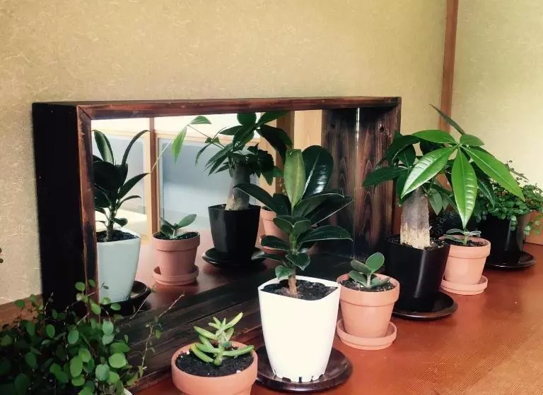 Majatalo Kusatsu Kotodama