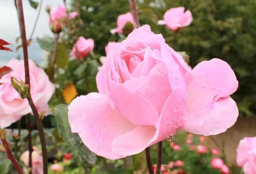 ペンション Fuhowe Guesthouse