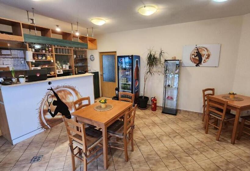 بنسيون Penzion Tcv Pardubice