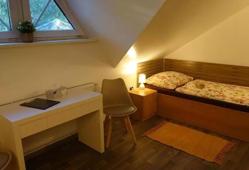 پانسیون Penzion Tcv Pardubice