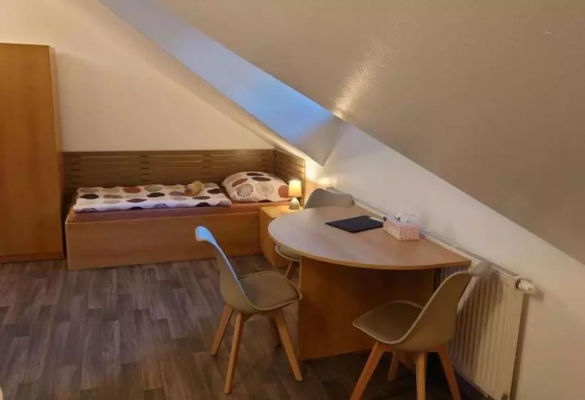 پانسیون Penzion Tcv Pardubice