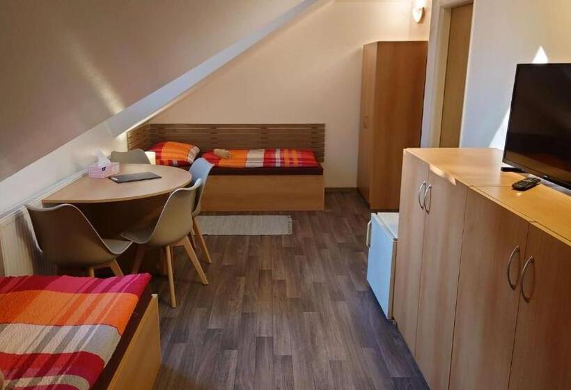 بنسيون Penzion Tcv Pardubice