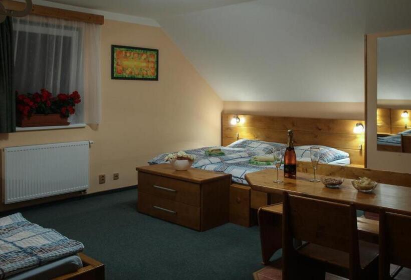 Pensjonat Wellness Penzion Palice