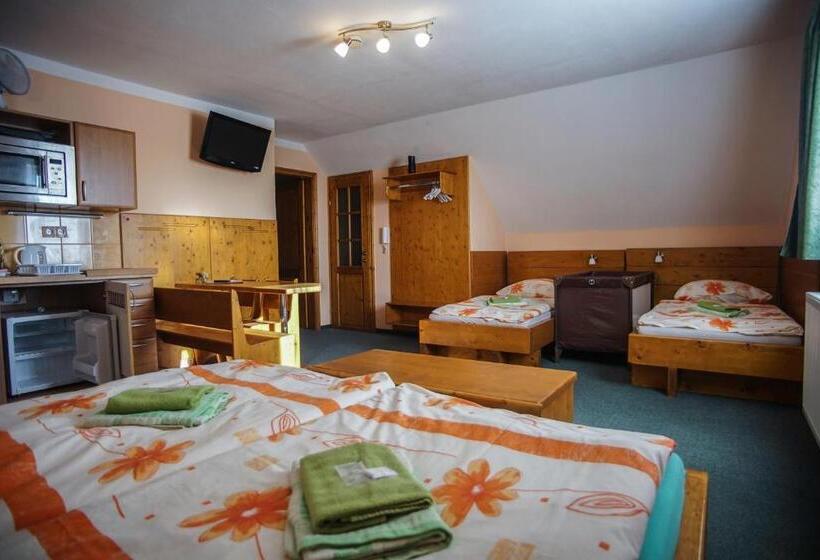 Pensjonat Wellness Penzion Palice