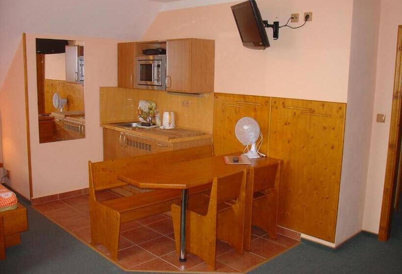 Pensjonat Wellness Penzion Palice