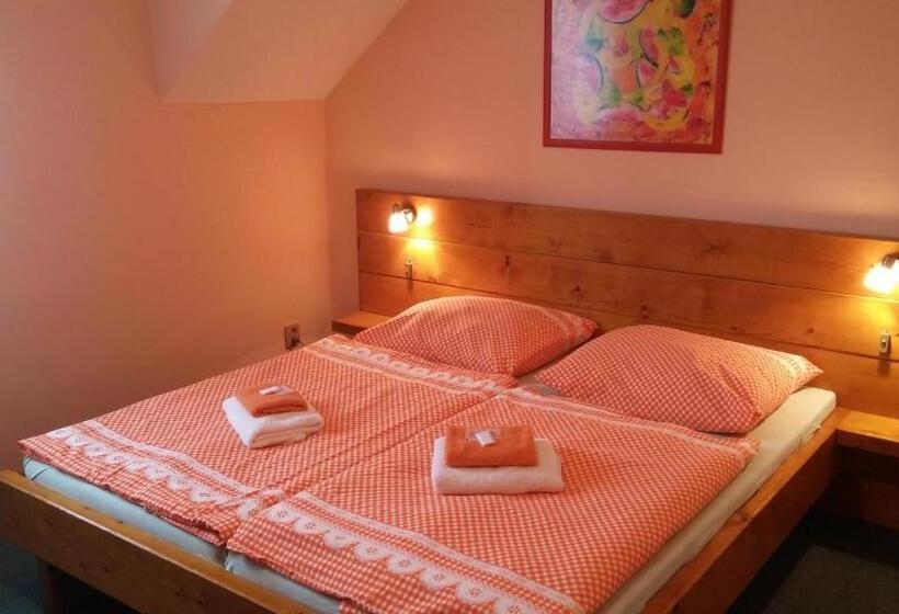 Pensjonat Wellness Penzion Palice