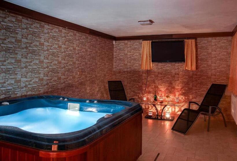 Pensjonat Wellness Penzion Palice