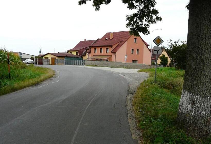 Pensjonat Wellness Penzion Palice