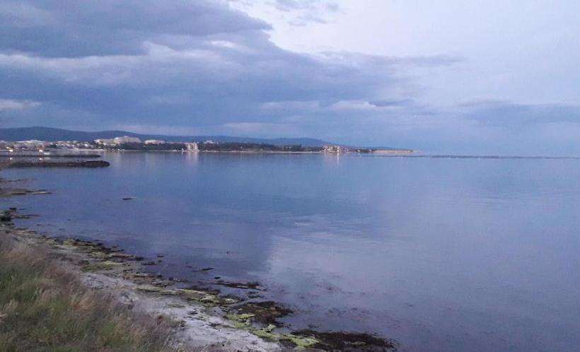 پانسیون Guesthouse Opal