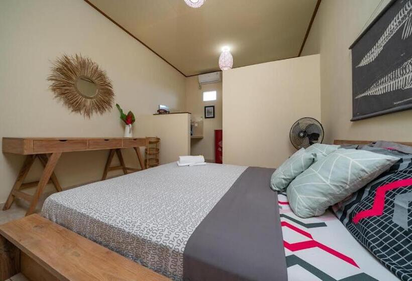 بنسيون The Bali Boarding House