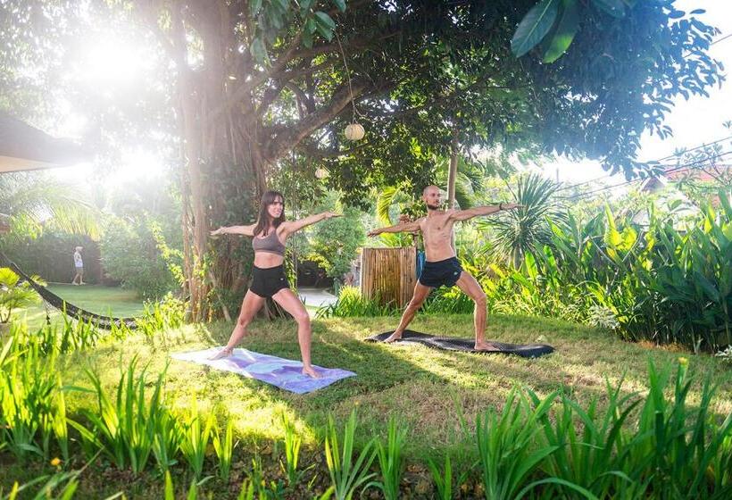 بنسيون The Bali Boarding House