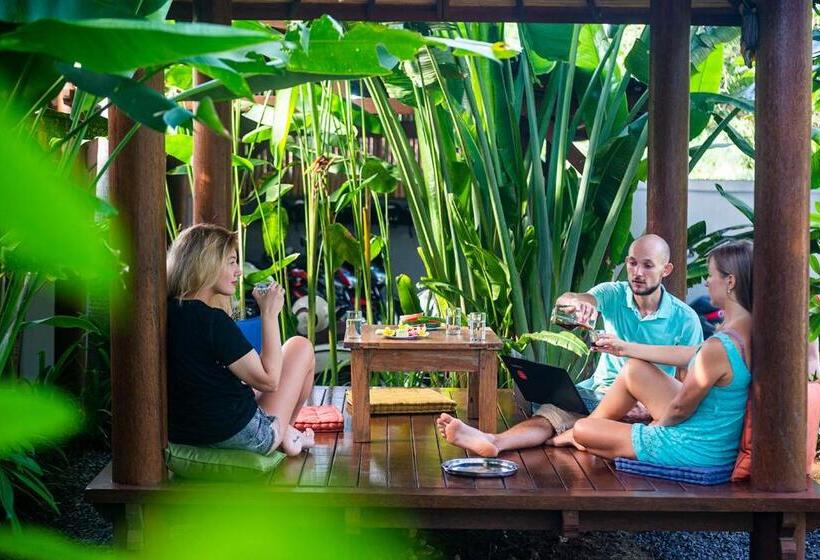 بنسيون The Bali Boarding House