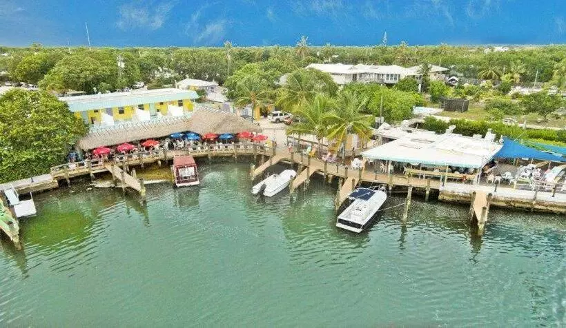 هاستل Snappers Key Largo