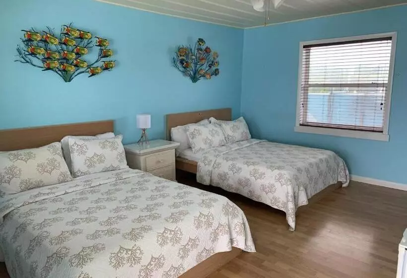 هاستل Snappers Key Largo